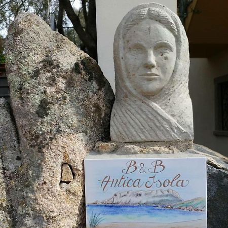 奧爾比亞Antica Isola住宿加早餐旅馆 外观 照片