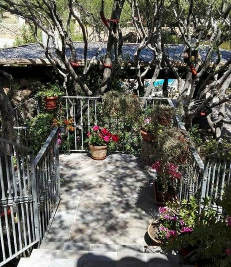 奧爾比亞Antica Isola住宿加早餐旅馆 外观 照片