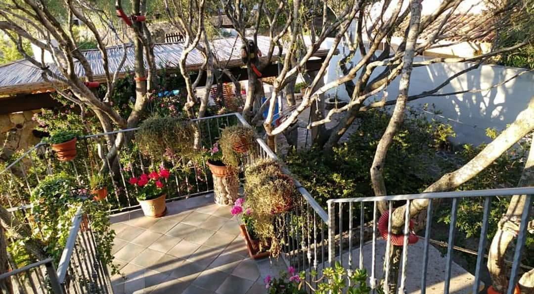 奧爾比亞Antica Isola住宿加早餐旅馆 外观 照片